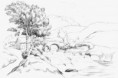 /album/el-paisaje-natural-/paisaje-rural-jpg/